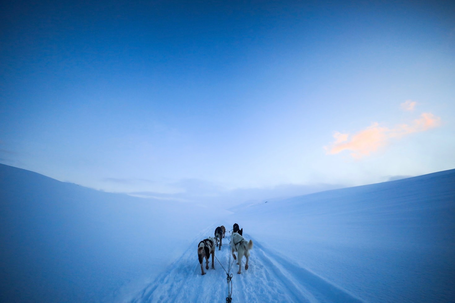 Packing Essentials for a Seamless Hiking Experience